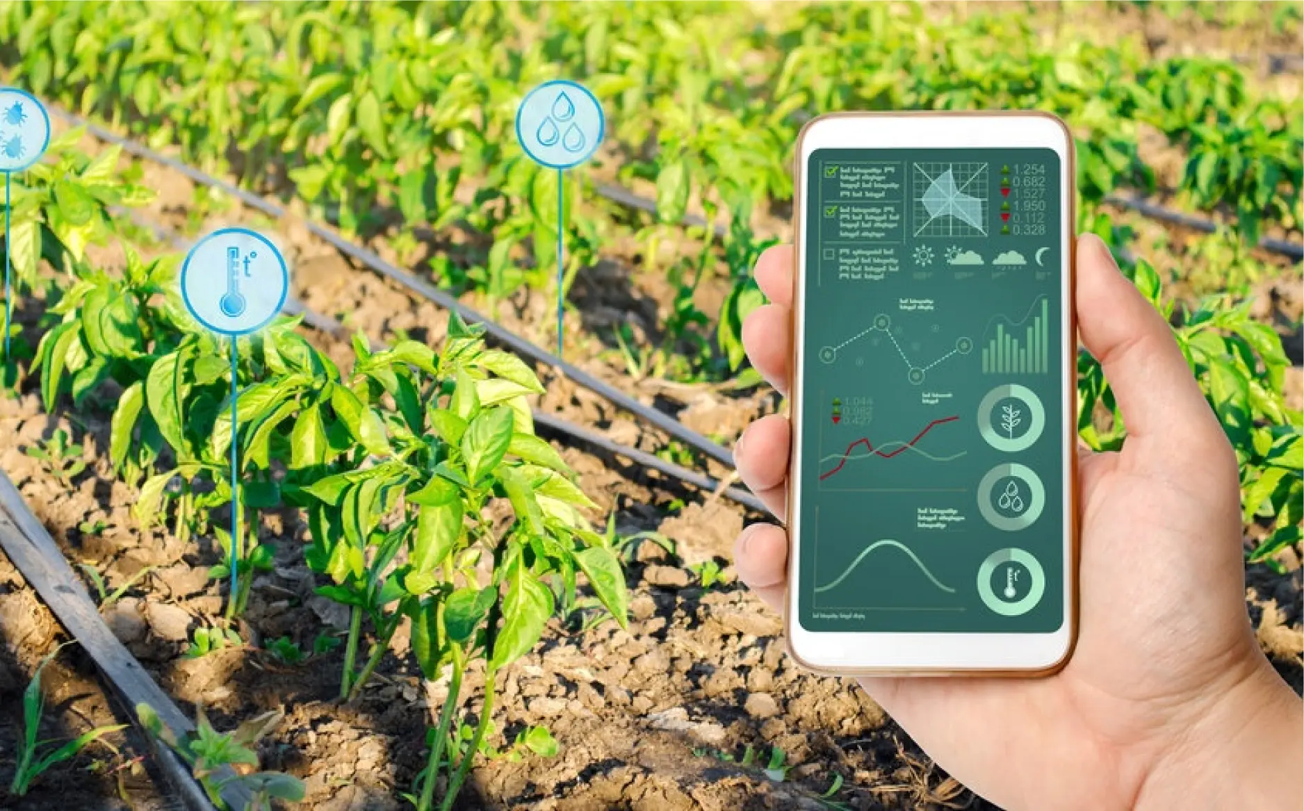 Farming